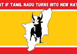 What If Tamil Nadu Turns Into a New Nation